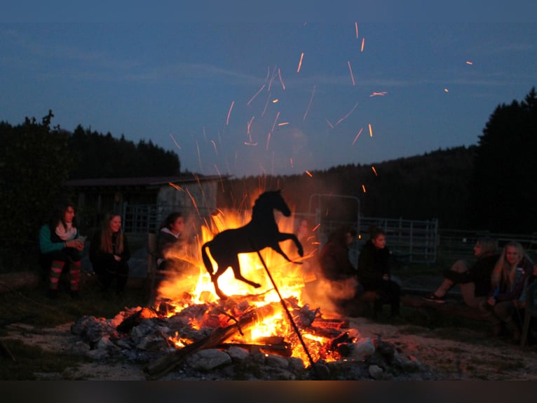 🐣 LAST MINUTE: Dein eigenes Pferd in den Osterferien! 🐴