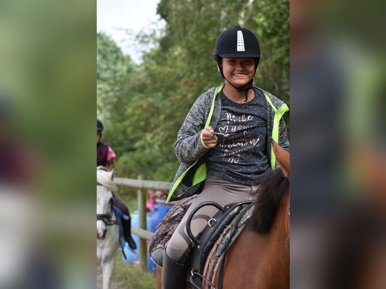 Reiterferien für Kinder in der Lüneburger Heide in kleinen Gruppen