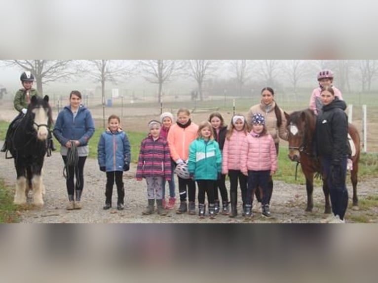 Reiterferien für Kinder - Sommer
