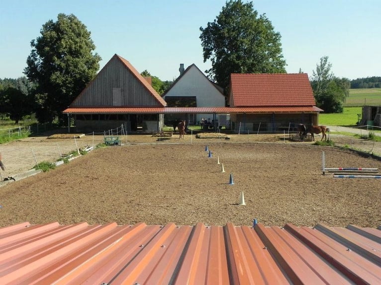 Reiterferien für Mädchen ab 10 Jahren. Fam. geführter Reiterhof in Mittelfranken.