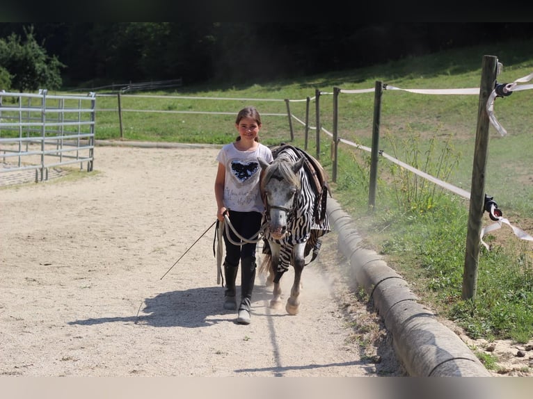 Reiterferien-mehr als nur Reiten