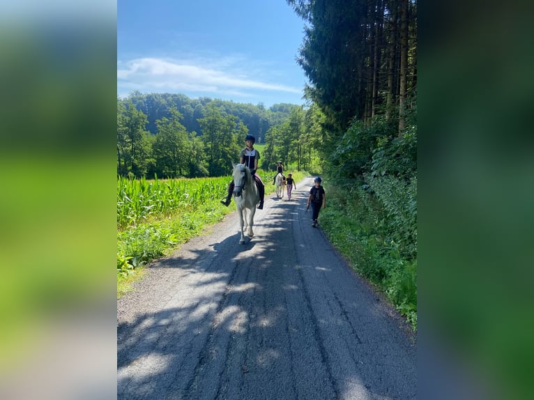 Reiterferien-mehr als nur Reiten