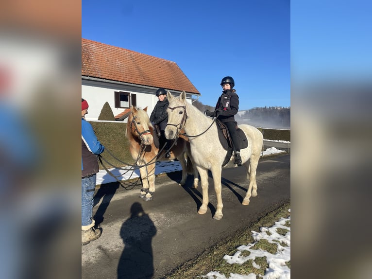 Reiterferien-mehr als nur Reiten