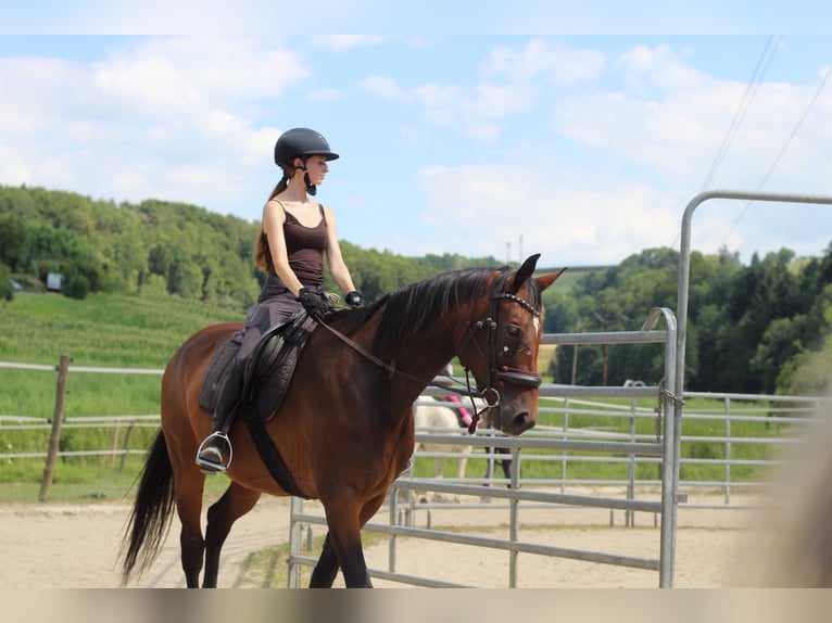 Reiterferien-mehr als nur Reiten