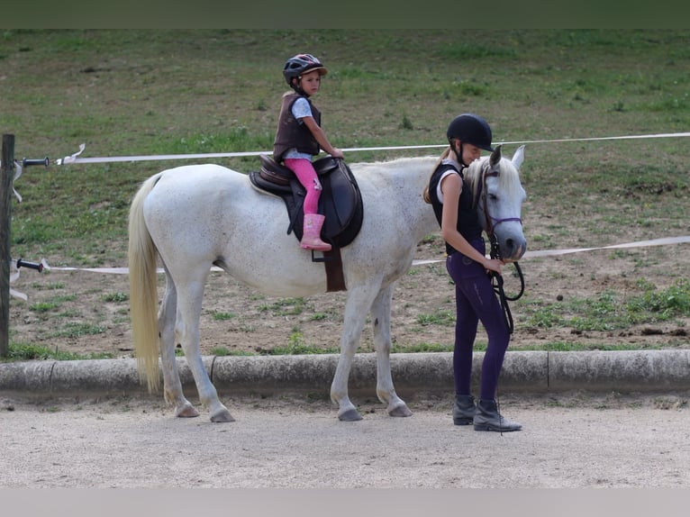 Reiterferien-mehr als nur Reiten