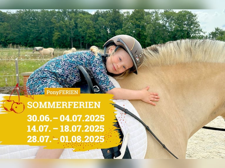 Reiterferien „Sommertraum“