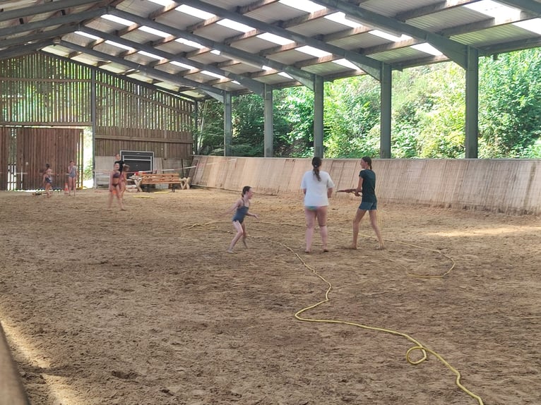 Reitferienplätze  im August und in den Herbstferien noch frei