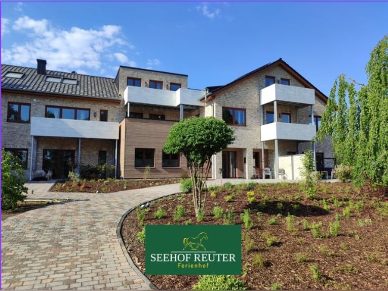 Neue Ferienwohnungen direkt am Wasser mit tollen Reitgelände - auch mit Gastboxen