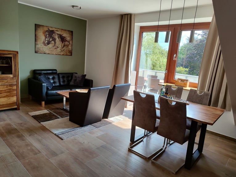 Neue Ferienwohnungen direkt am Wasser mit tollen Reitgelände - auch mit Gastboxen