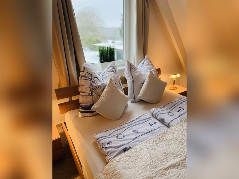 Urlaub in Scharbeutz/Ostsee mit deinem eigenen Pferd im Gästehaus Gestüt Rosenkamp