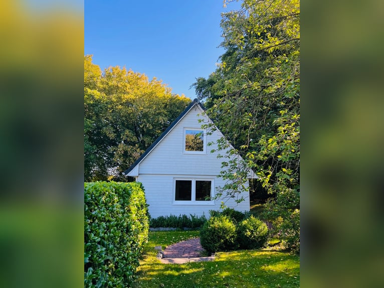 Urlaub in Scharbeutz/Ostsee mit deinem eigenen Pferd im Gästehaus Gestüt Rosenkamp