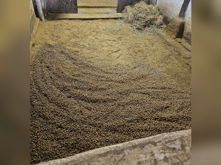 Mit Strohpellets beginnt ein ökologisches Morgen heute