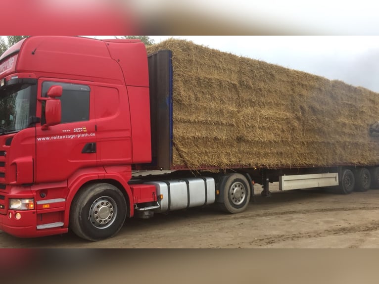 Qualitäts Stroh in Rund- und Quaderballen zu verkaufen