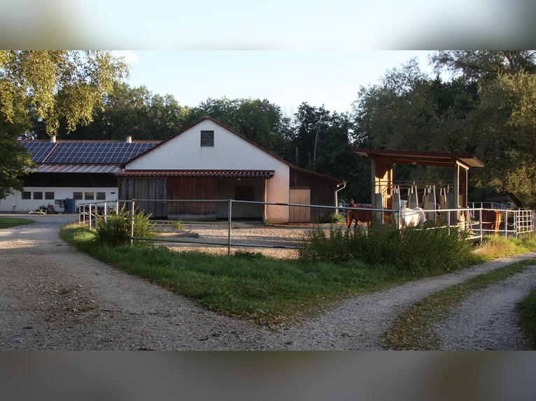 AktivStall am Holzgarten bei München in Dachau