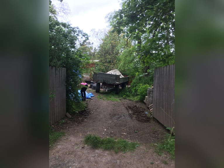 Gartengrundstück Mietgarten Pferde Offenstall Tierhaltung Anbau