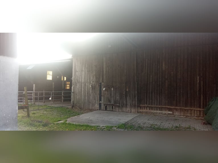 Große Stallung und Offenstall (4-8 Pferde) mit arrondierten Weiden an einen Selbstversorger
