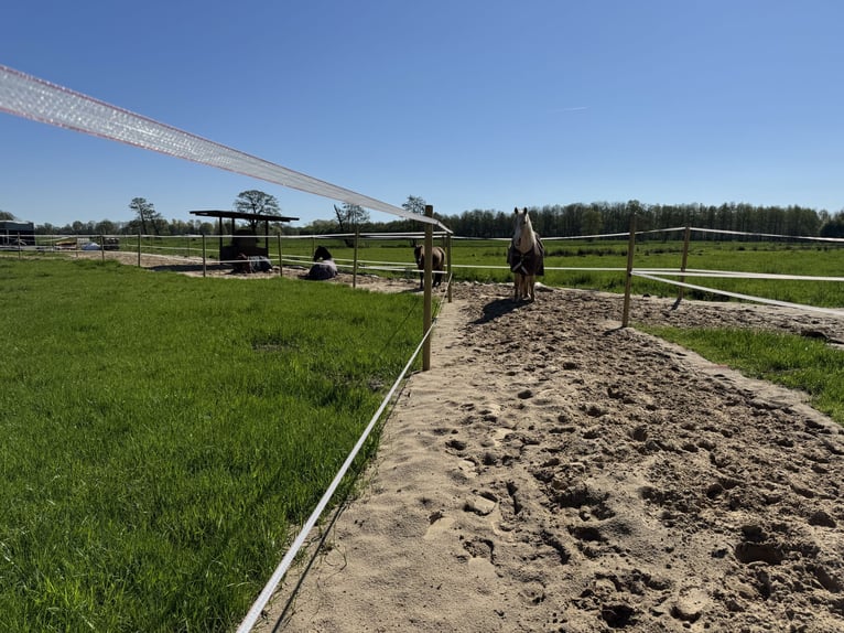 Trailplatz direkt an der Nordsee