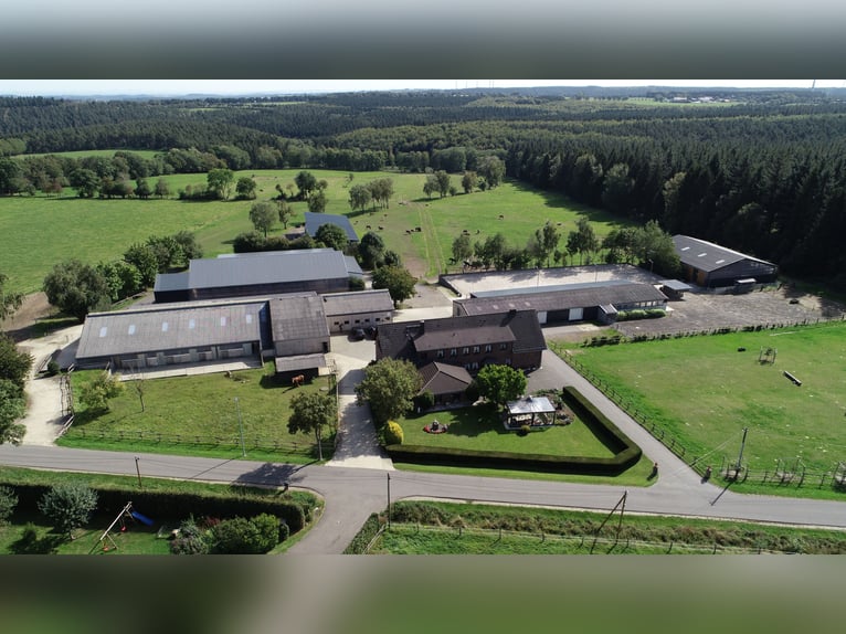 Aufzuchtplätze für Jährlinge frei ....               Jetzt Plätze für 2025 reservieren