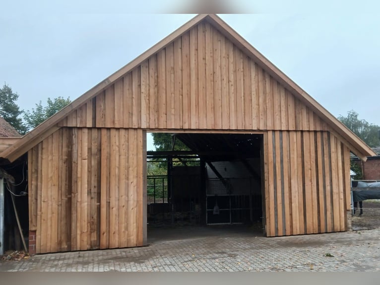 Aufzuchtplatz / Offenstall / Laufstall für junge Stuten