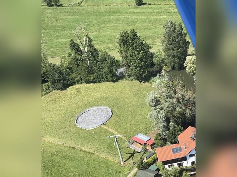 Aufzuchtsplatz für einen Henstjährling ab April/2026 