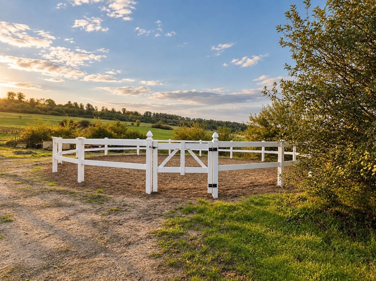 Freie Aufzuchts- & Rentnerplätze für Warmblüter 🐴