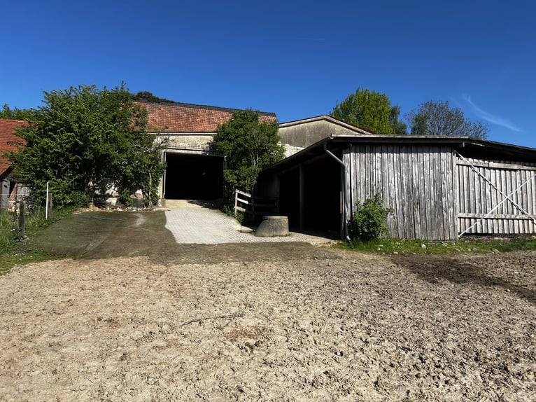 Offenstall Aufzuchtplatz für Fohlen oder Jungpferde ab September 2025