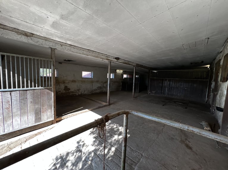Offenstall Aufzuchtplatz für Fohlen oder Jungpferde ab September 2025