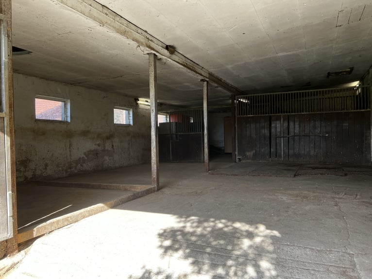 Offenstall Aufzuchtplatz für Fohlen oder Jungpferde ab September 2025