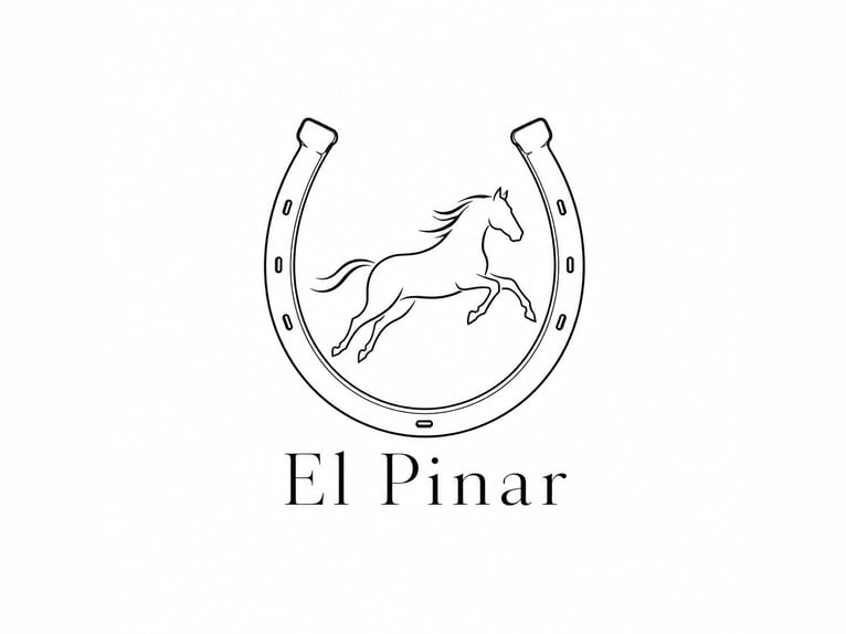 Pupilaje