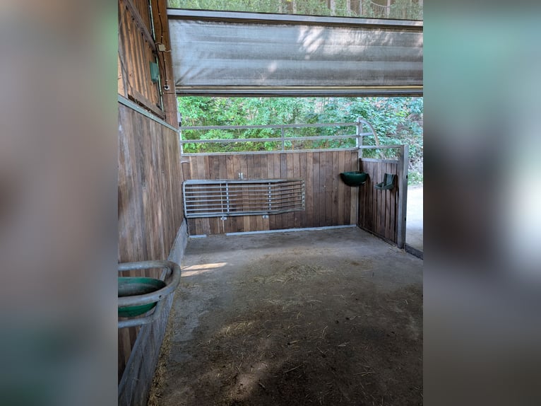 5 Pferdeboxen, ganzer neuer Stall
