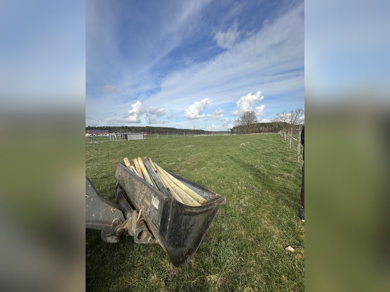 Außenbox + Innenboxen mit tägl. Koppelgang zu vergeben