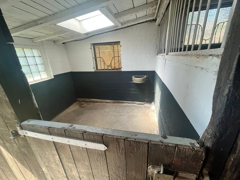 Box in kleiner privater Stallgemeinschaft frei