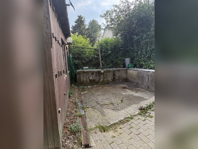 Box in kleiner privater Stallgemeinschaft frei