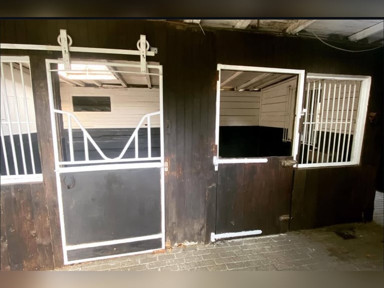 Box in kleiner privater Stallgemeinschaft frei
