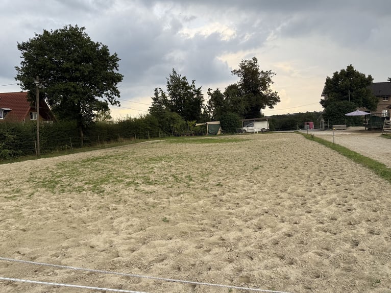 Box in kleiner privater Stallgemeinschaft frei