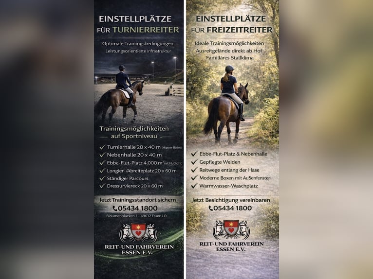 Boxen aufgrund Bereiterwechsels zum 01.04. frei