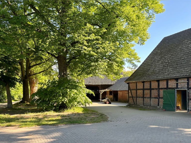 Boxen frei auf privater Reitanlage
