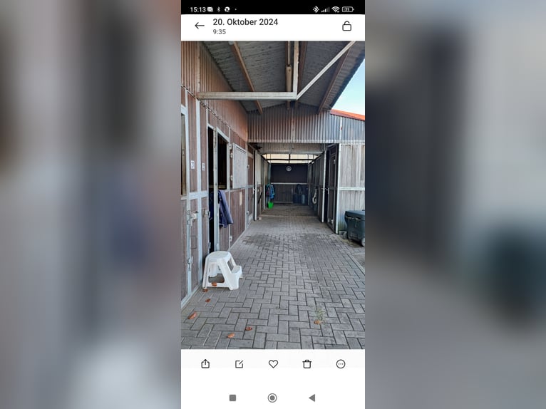 Boxen frei Boxen frei