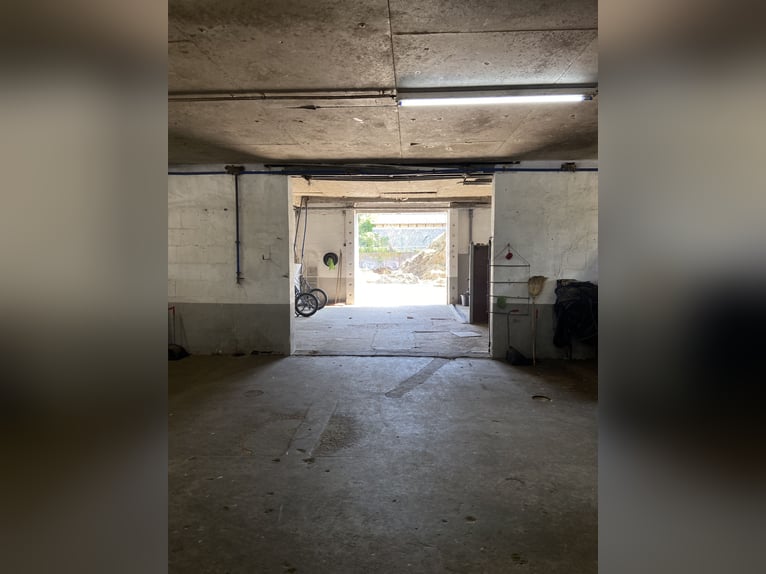 Boxen frei! Liebevoll geführter kleiner Stalltrakt in Neuenhagen 