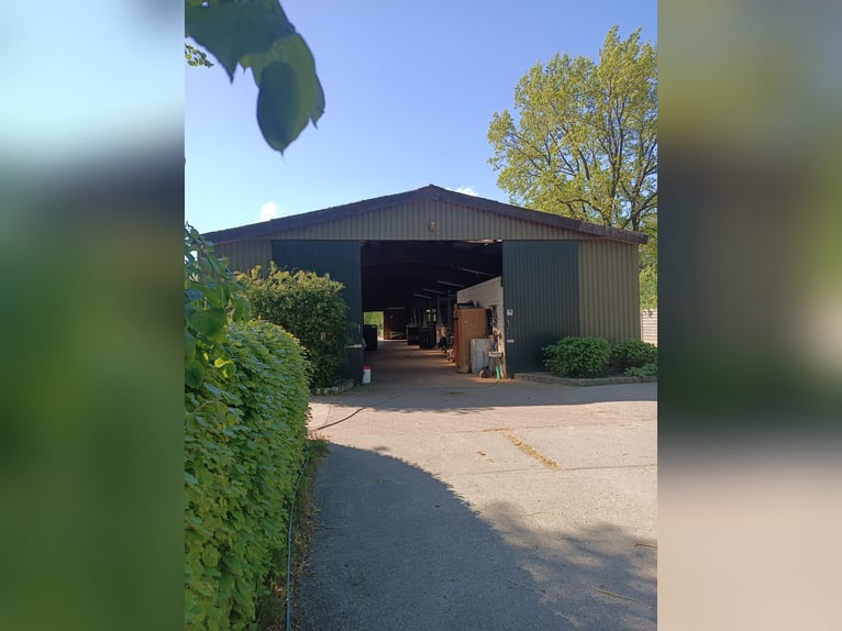 Boxenplatz ab Juli frei