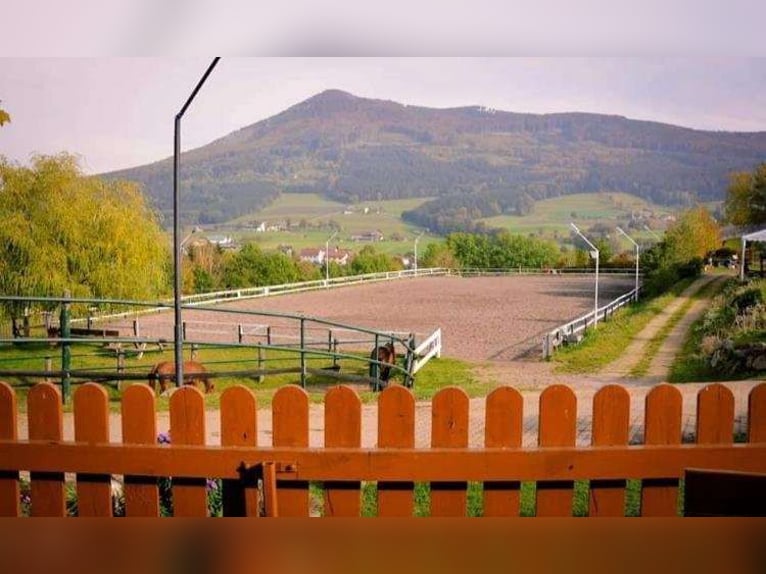 Einstellplätze im südlichen Waldviertel