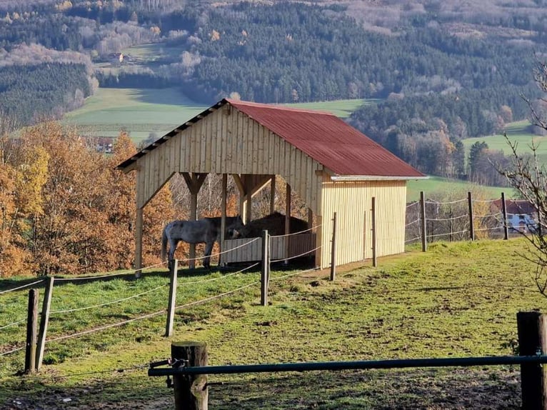 Einstellplätze im südlichen Waldviertel