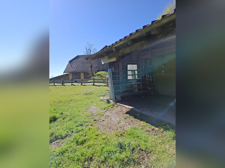 Einstellplatz am Bauernhof frei!