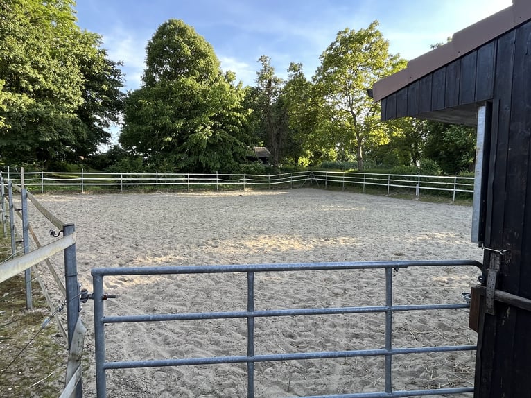 Einstellplatz in kleinem Privatstall frei