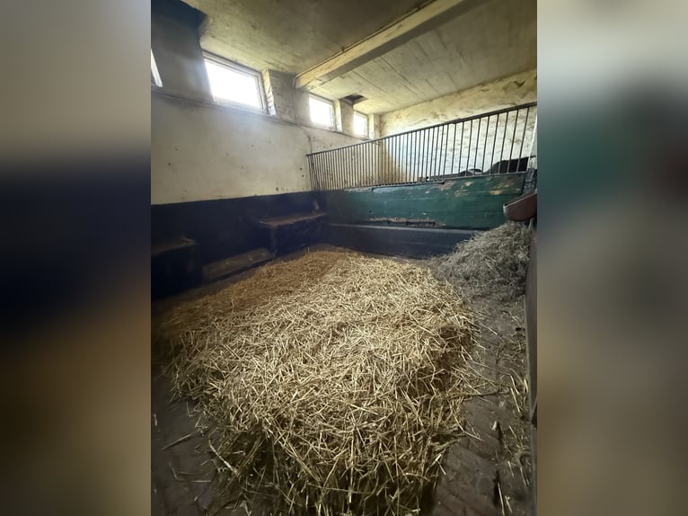 Extra große Boxen frei!  