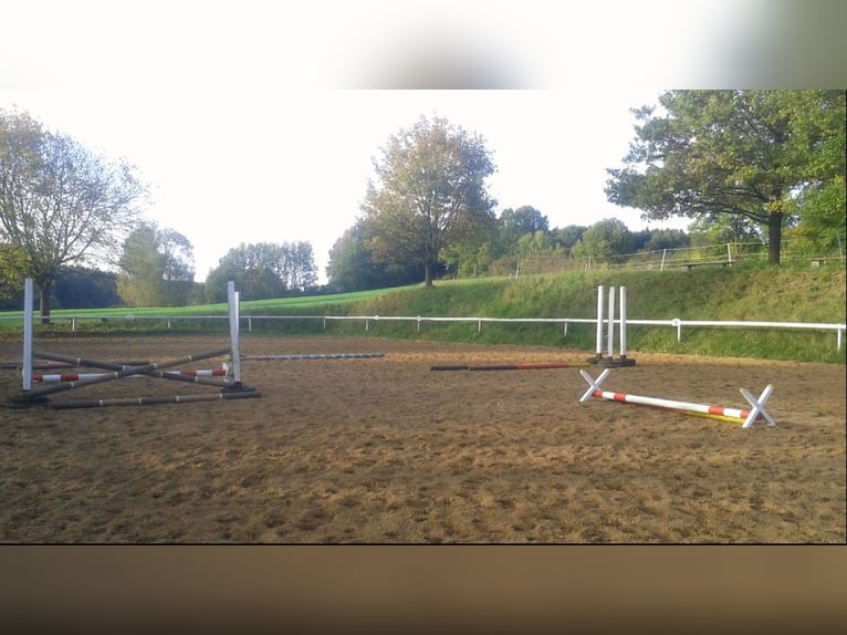 Freie Box ab sofort