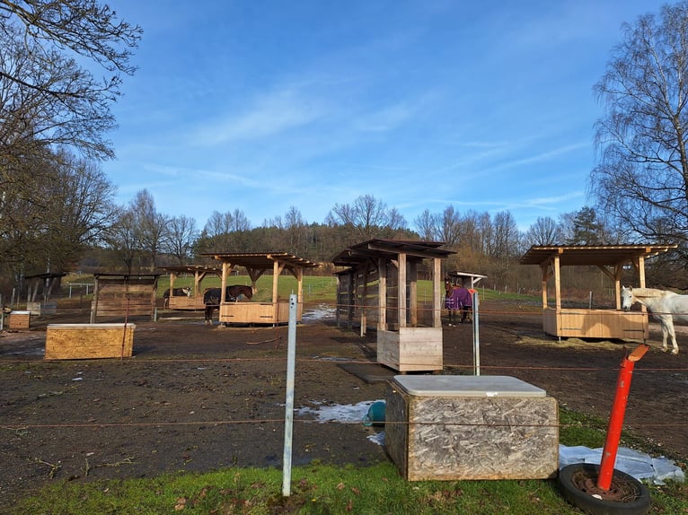 Freie Box ab sofort