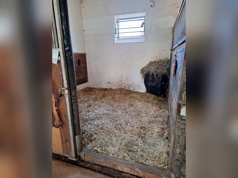 Freie Box ab sofort