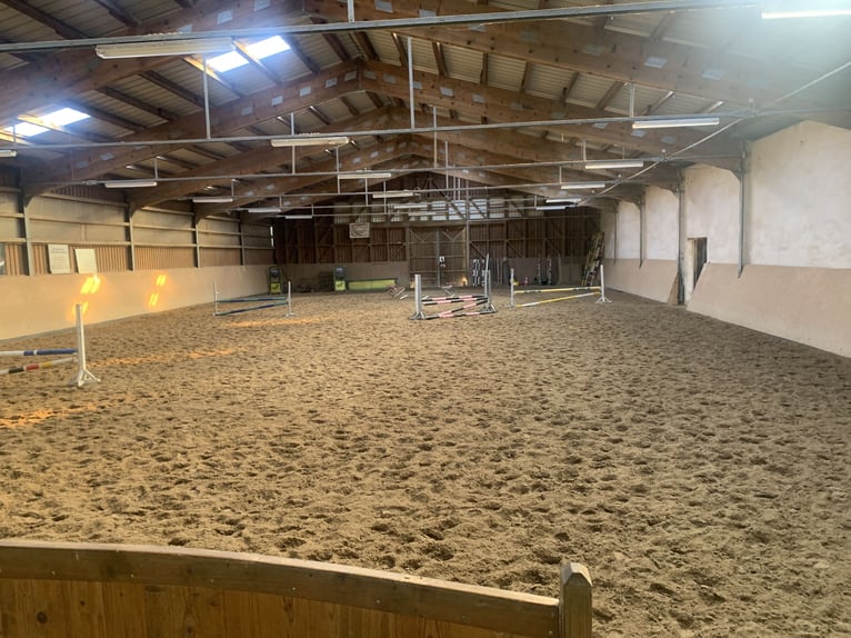 Freie Boxen in idyllisch gelegener Stallgemeinschaft