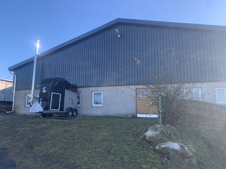 Freie Boxen in idyllisch gelegener Stallgemeinschaft